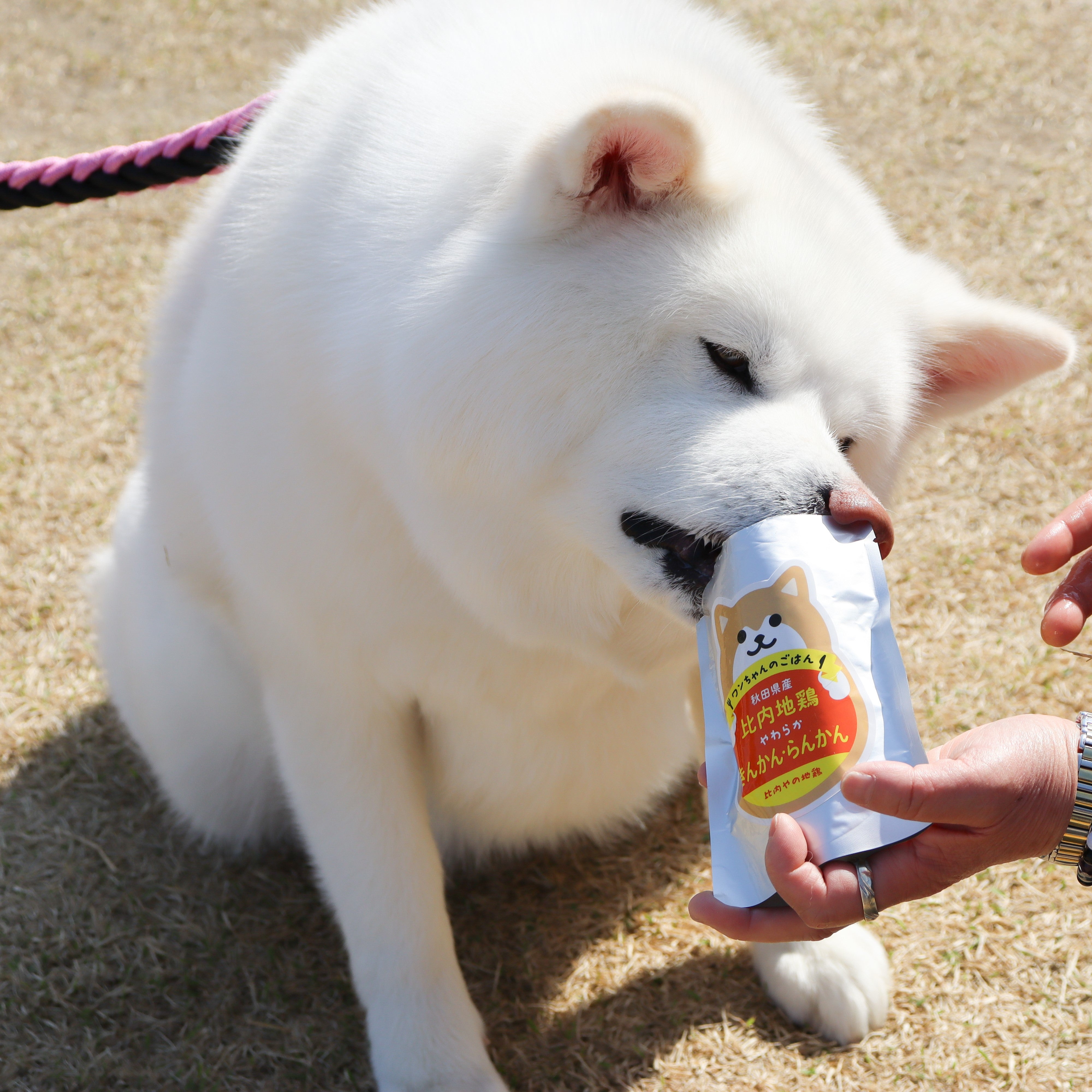 ドッグフード】比内地鶏 やわらかシリーズ 3種セットがお得！比内地鶏